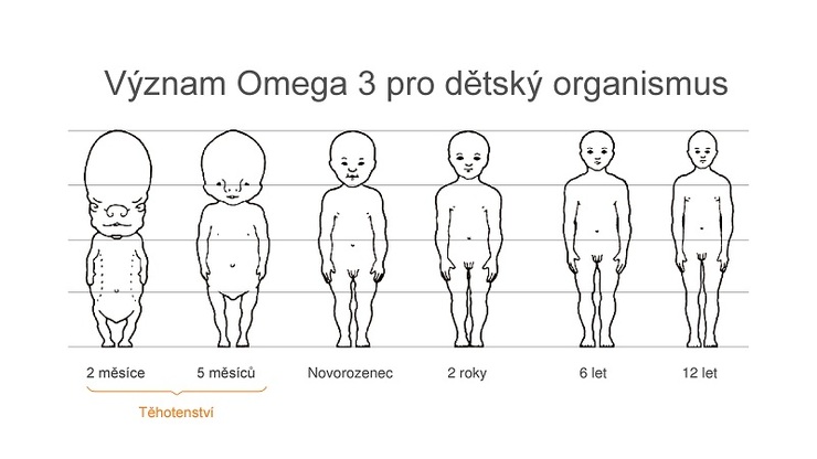 Omega 3 - 3
