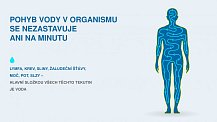 detail Koncepce zdraví pro život bez nemocí. Krok č.1 Hydratace