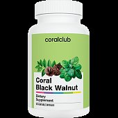detail Coral Black Walnut Listy černého ořechu