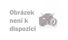 detail Doktor Wallach - Mrtví lékaři nelžou