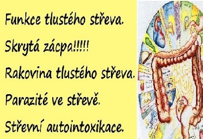 Funkce tlustého střeva. Skrytá zácpa, Paraziti ve střevě. Autointoxikace. Rakovina střeva.