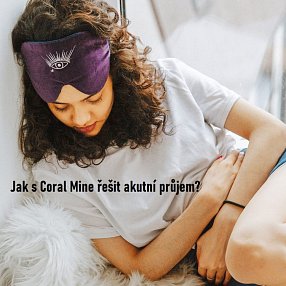 Klikněte pro zvětšení obrázku